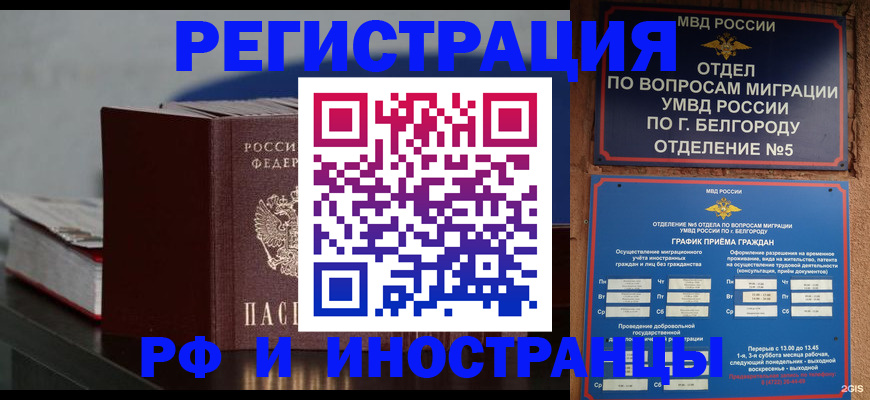 прописка 2025 в Курганинске